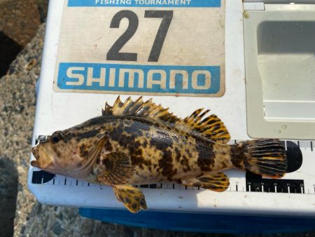 シロギスタの10種達成トリプルG