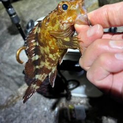 フロートメバリング