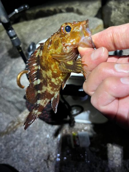 フロートメバリング