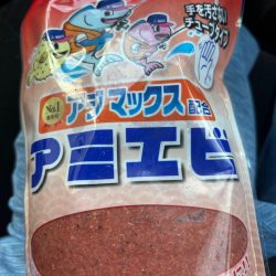 アジュール舞子　朝マズメサビキ釣行