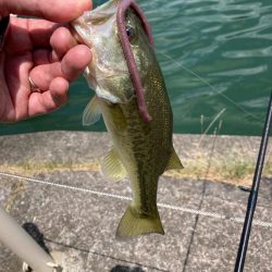 真夏の日中でも