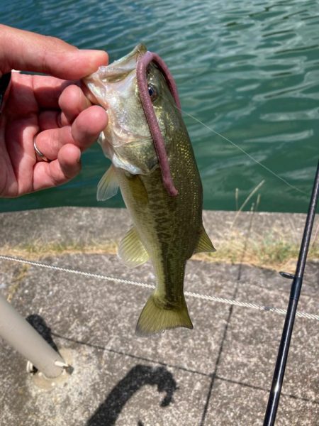 真夏の日中でも