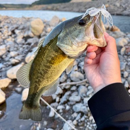 ホームグラウンド