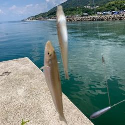 淡路島釣行