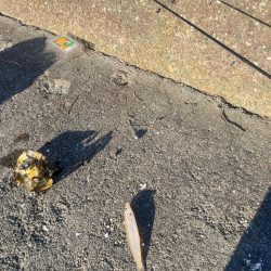 今日も行ってきました！