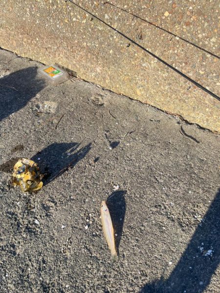 今日も行ってきました！