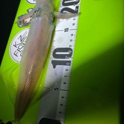 マイカ絶好調！