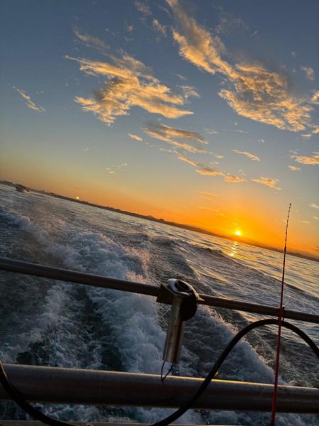 明石タコ調達🐙