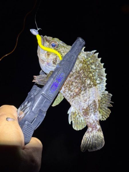 大阪ライトゲーム