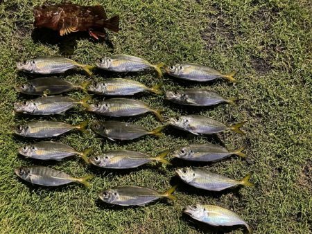 釣れてよかった