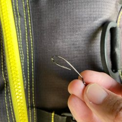 キジハタ狙い！