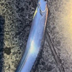 ライトショアジギング