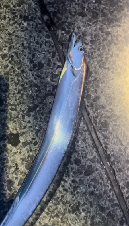 ライトショアジギング