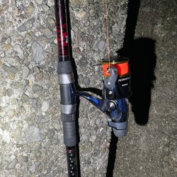 イカはいなイカ?!捜査