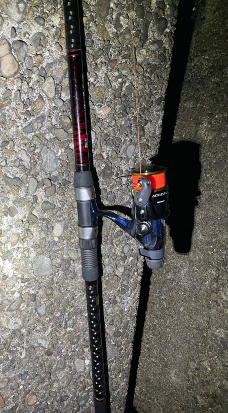 イカはいなイカ?!捜査