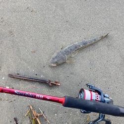 ちょい投げ行ってきました!