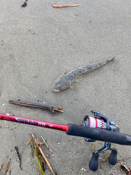 ちょい投げ行ってきました！