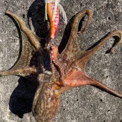 まずまず、上向き❓