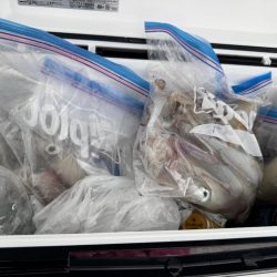 マルイチ君出撃