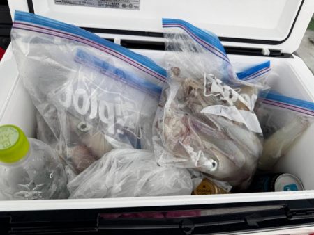 マルイチ君出撃