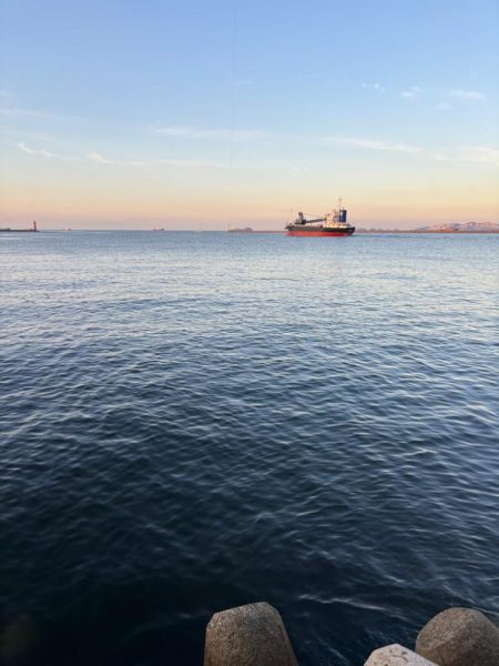 ロックフィッシュ