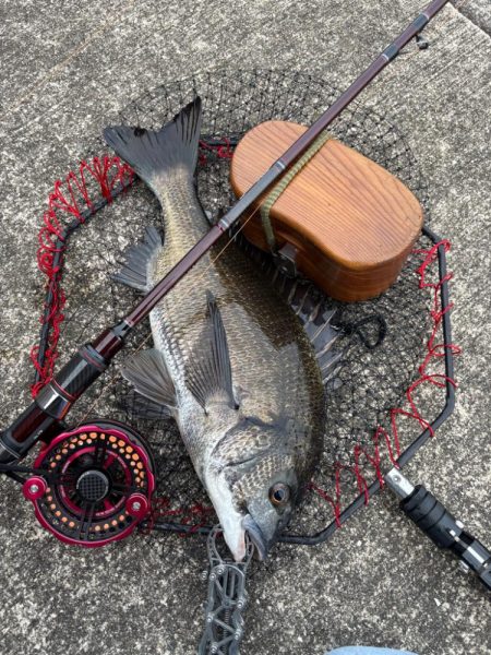 ヘチってきました