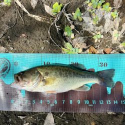 久々のフィールドへ