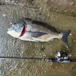 チニング、、、？