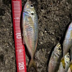 フロートアジング