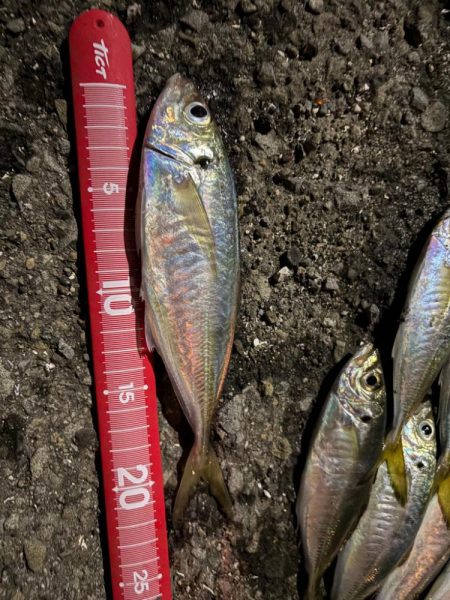 フロートアジング