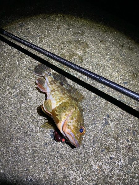 ロックフィッシュゲーム