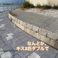 ちょい投げ シロギス釣り