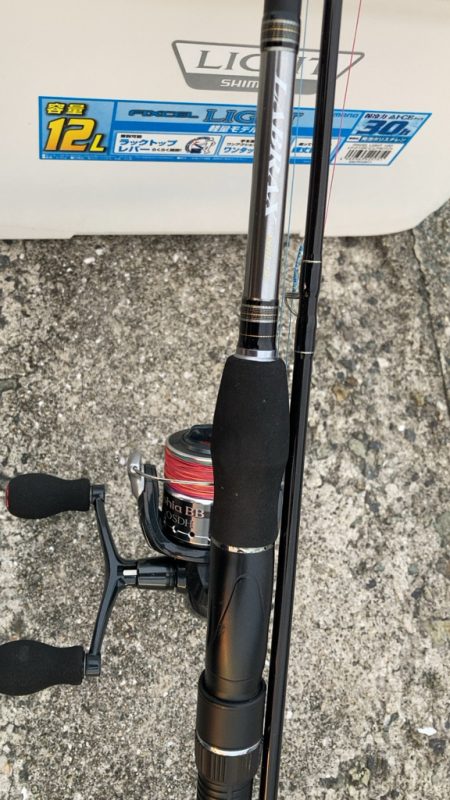 波打ち際のシロギス釣り