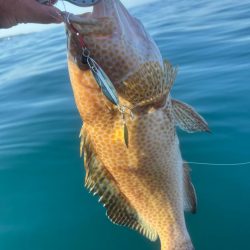 サップフィッシングSLJ