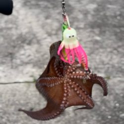 オクトパッシング