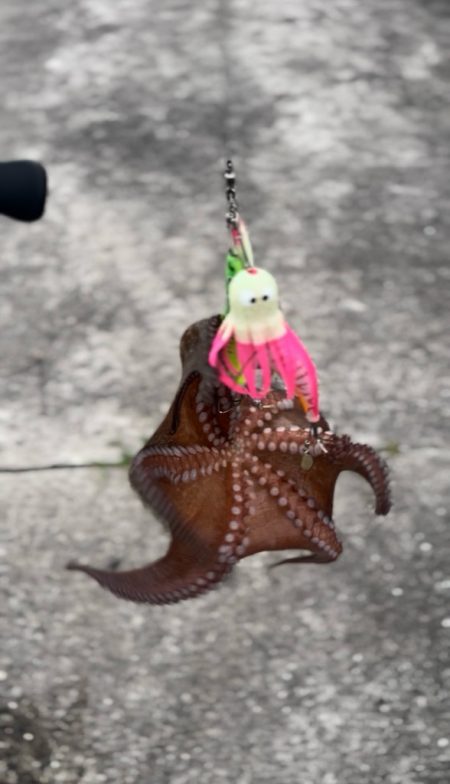 オクトパッシング