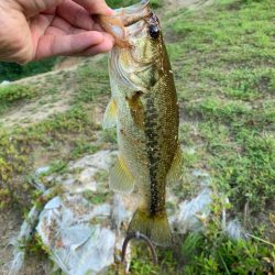 久しぶりの布目ダム