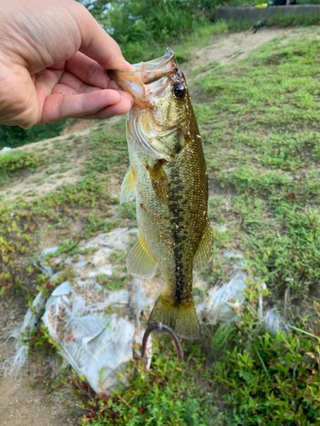 久しぶりの布目ダム