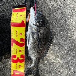 トップチニング