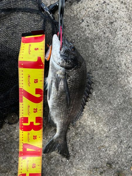 トップチニング