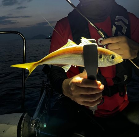 ボートアジング