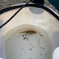 暑い。貴重な一枚