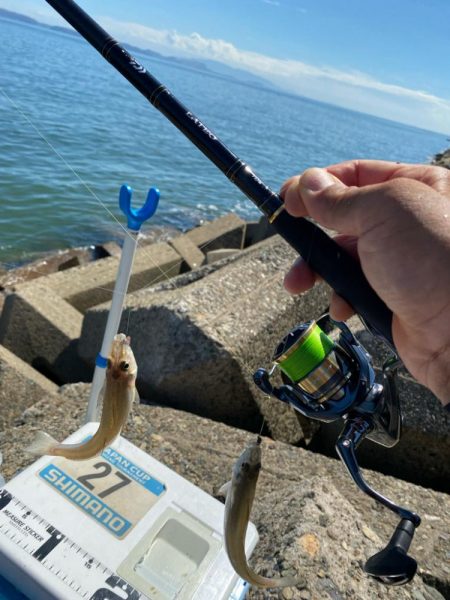 シロギスタ:短時間でボチボチと