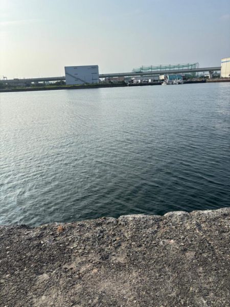 タコ陸っぱりはまだ厳しいか