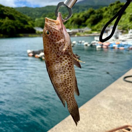 ハードロック⚡️