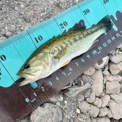 ホームレイク大隅湖