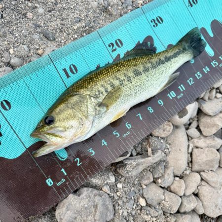 ホームレイク大隅湖