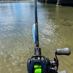 チニングやけど…