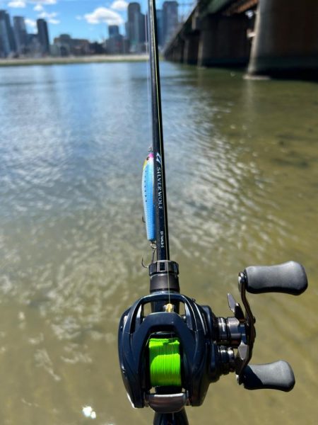 チニングやけど…