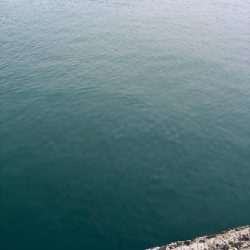 タチウオ 良型釣れた